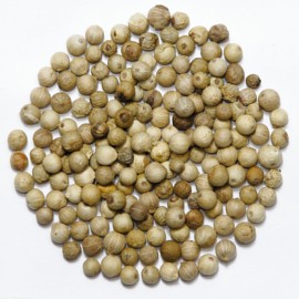 3. 胡椒 3. 胡椒