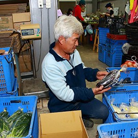 元氣家農場 元氣家農場